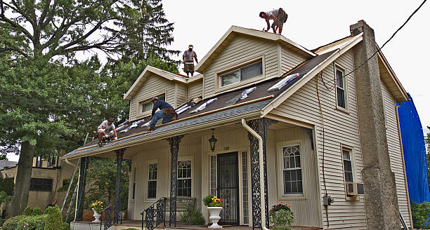 Best Roof Maintenance Services  in Warrior, AL