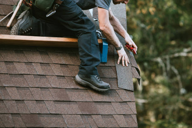Best Roof Leak Repair  in Warrior, AL